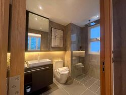 Jervois Treasures (D10), Apartment #458133291